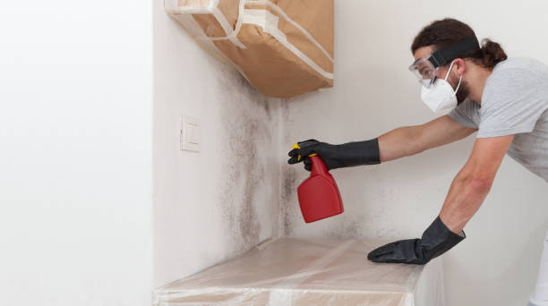 Professional Commercial Mold Remediation technician working in Newton Lower Falls, MA